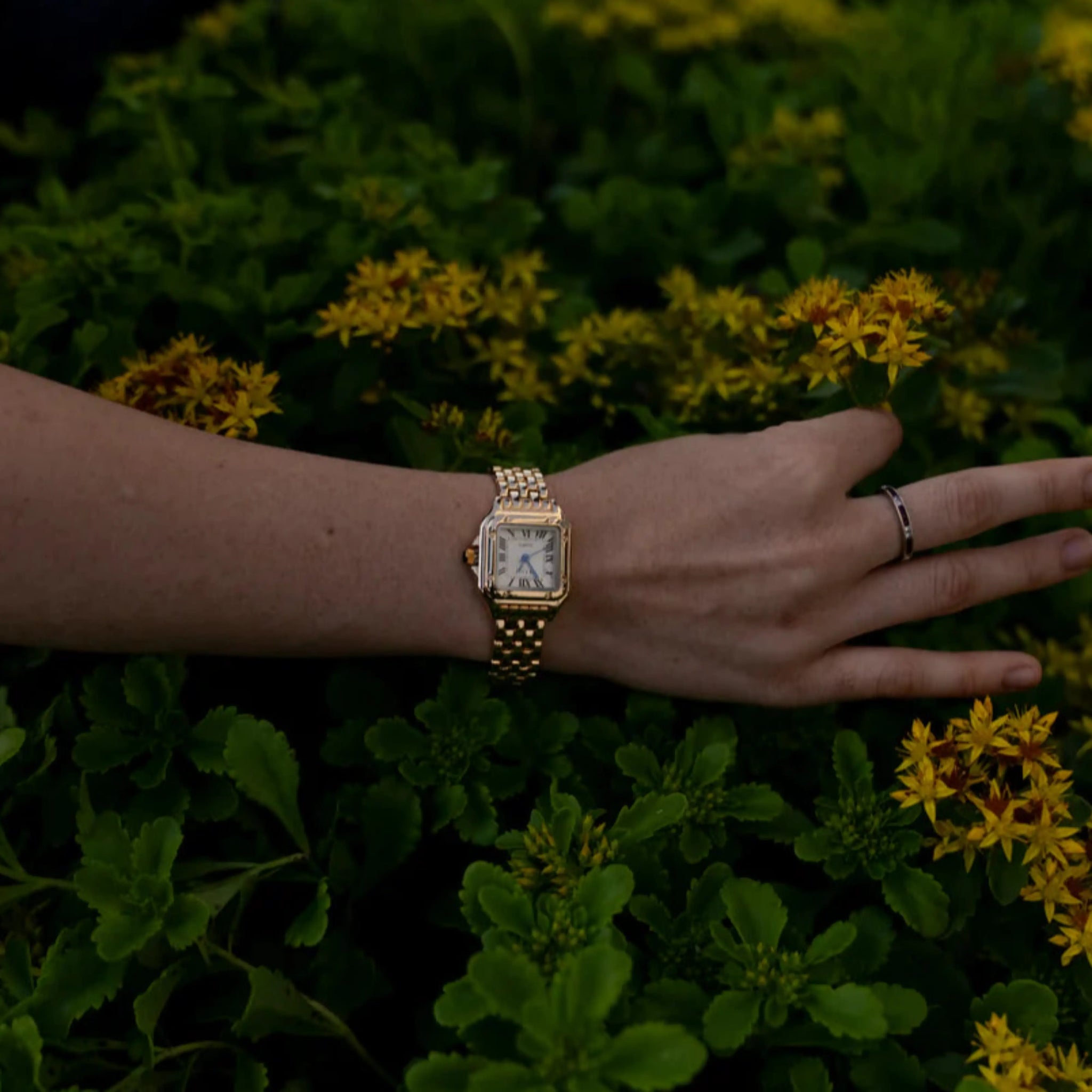 Clock | Marea